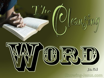 John 15:3 You Are Clean Because Of The Word (sage)